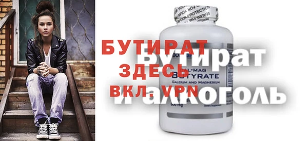 индика Медвежьегорск