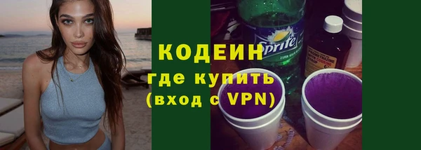 индика Медвежьегорск