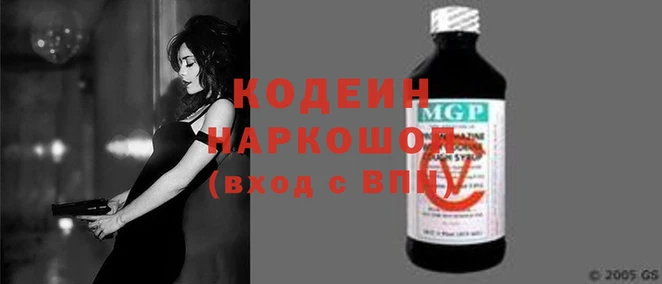 индика Медвежьегорск