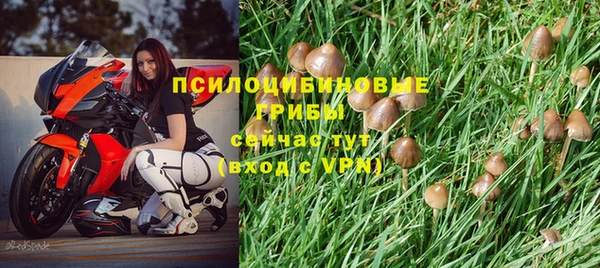 а пвп мука Мегион