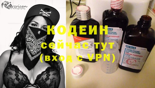 индика Медвежьегорск