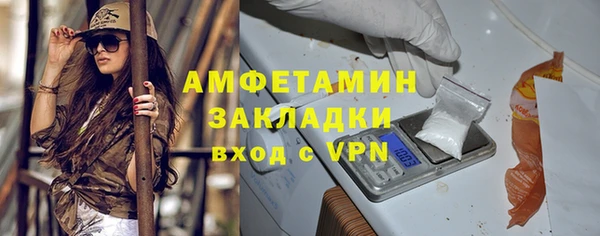 индика Медвежьегорск