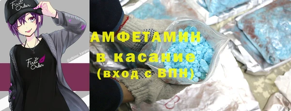 индика Медвежьегорск