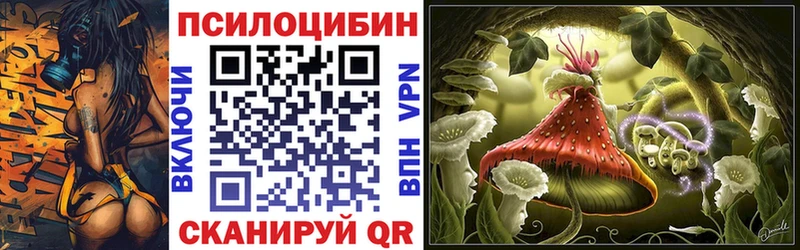 Псилоцибиновые грибы мицелий  ссылка на мегу ссылки  Елизово 