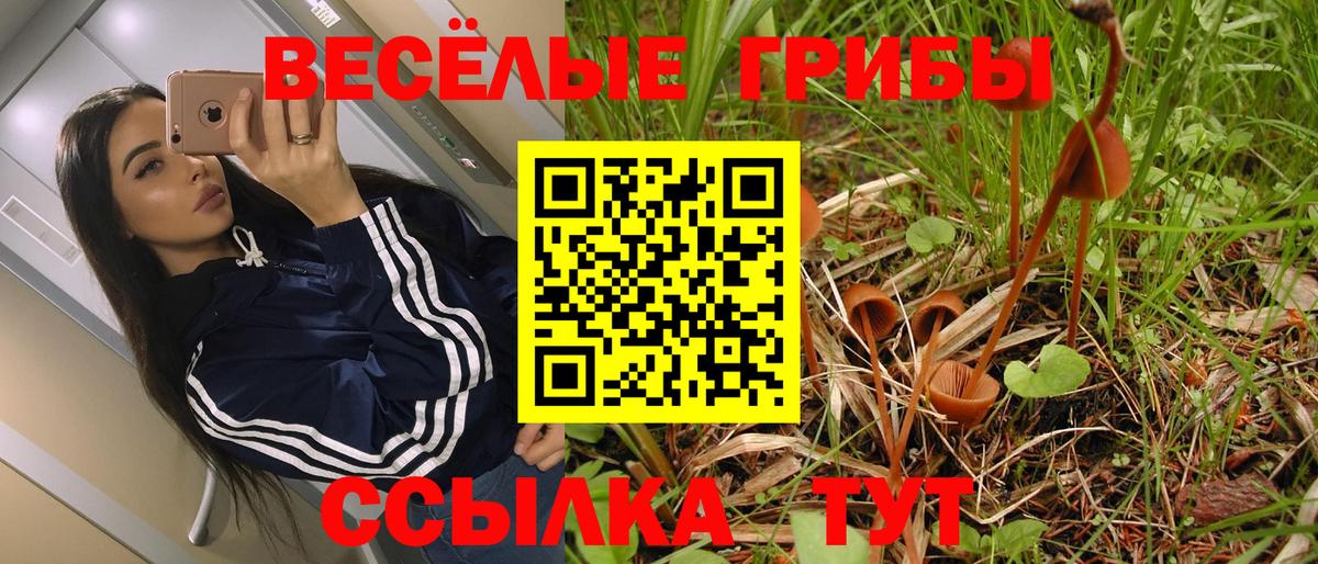 закладка  Елизово  Псилоцибиновые грибы мухоморы  Псилоцибиновые грибы ЛСД 