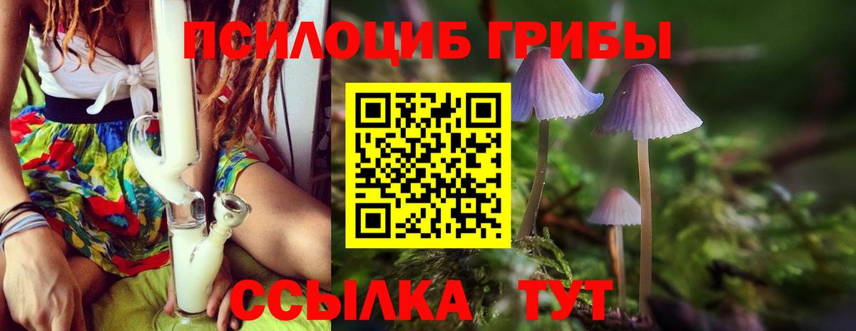 Кокаин Елизово