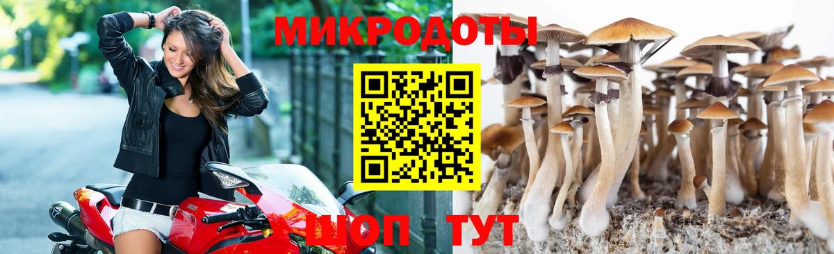 Псилоцибиновые грибы MAGIC MUSHROOMS  Псилоцибиновые грибы прущие грибы  Вход с VPN  Елизово 
