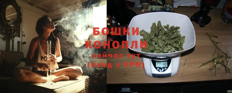 Бошки марихуана White Widow  Елизово 