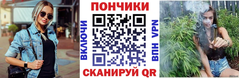 Бошки Шишки Amnesia  как найти закладки  Елизово 